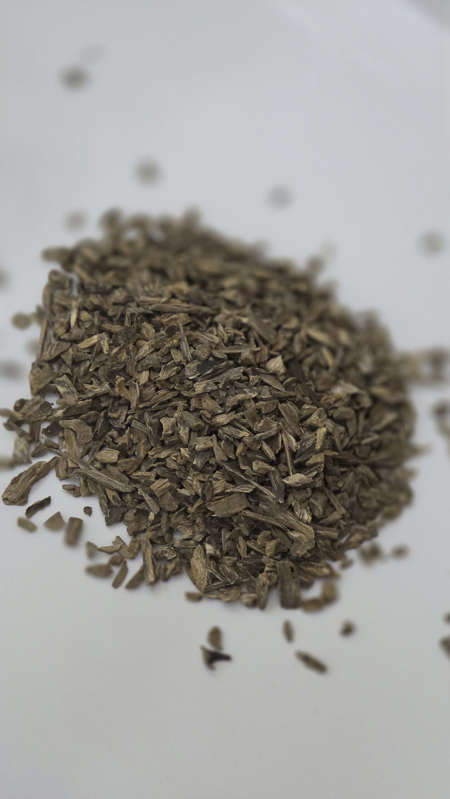 2025/09/23021-scaled.jpg زرشت هندي فاخر - Image 1