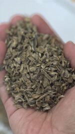 زرشت هندي فاخر - Image 2