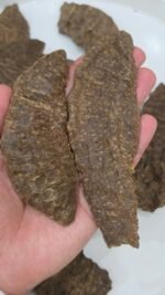 جار هاف مون رويال - Image 2